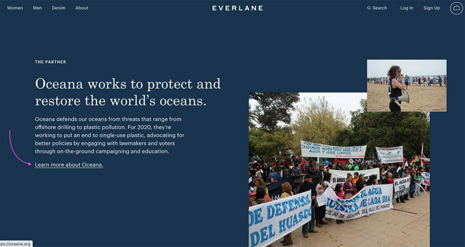 everlane oceana campaign