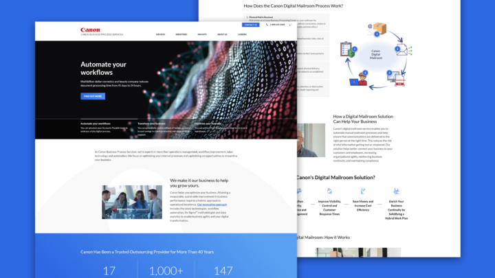 Canon Portfolio Landscape