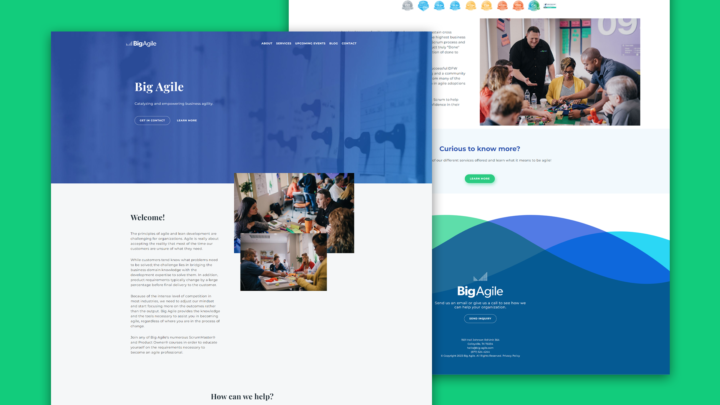 Big Agile Portfolio Landscape