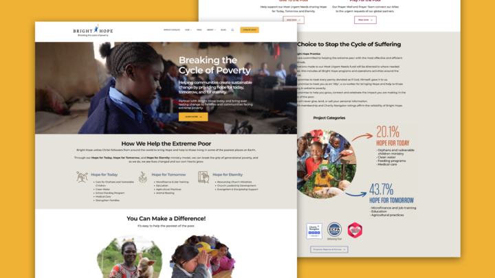 Bright Hope Portfolio Landscape