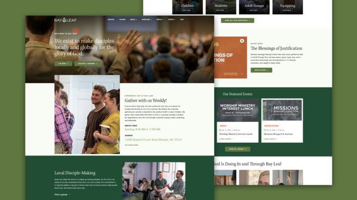 Bayleaf Portfolio Landscape