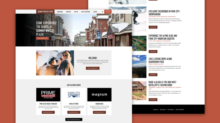 Summit Watch Landscape Portfolio