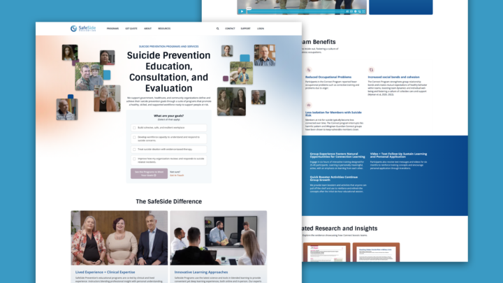 Safeside Portfolio Landscape