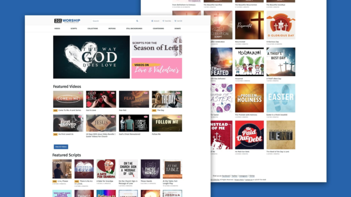 231 Collective portfolio landscape